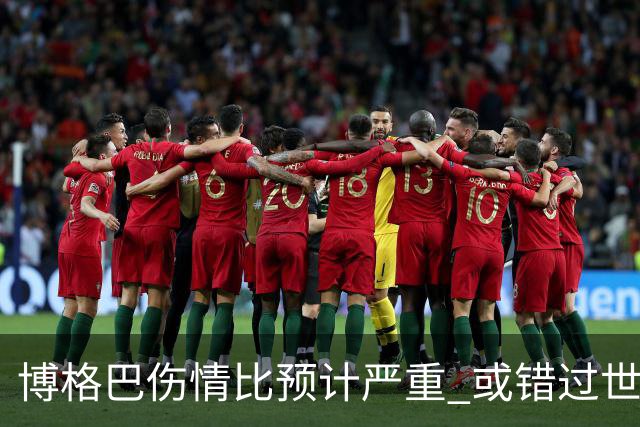 博格巴伤情比预计严重 或错过世界杯到明年才复出