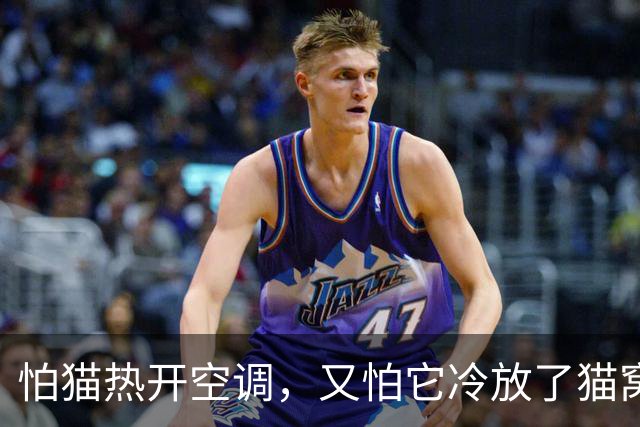 怕猫热开空调，又怕它冷放了猫窝，结果一看监控，绝了！
