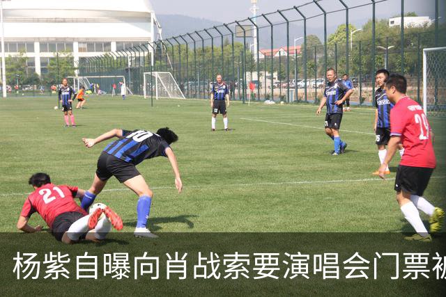 杨紫自曝向肖战索要演唱会门票被拒绝，原因引全场大笑