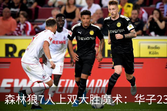森林狼7人上双大胜魔术：华子23中5低迷 小瓦18+6失误+6犯规