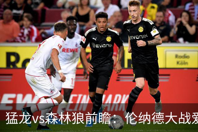 猛龙vs森林狼前瞻：伦纳德大战爱德华兹，一场不同风格的强硬对决