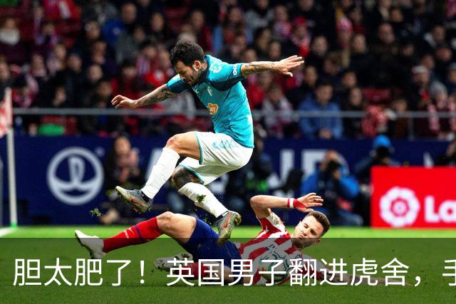 胆太肥了！英国男子翻进虎舍，手指东北虎喊“Stop”，却当场身亡