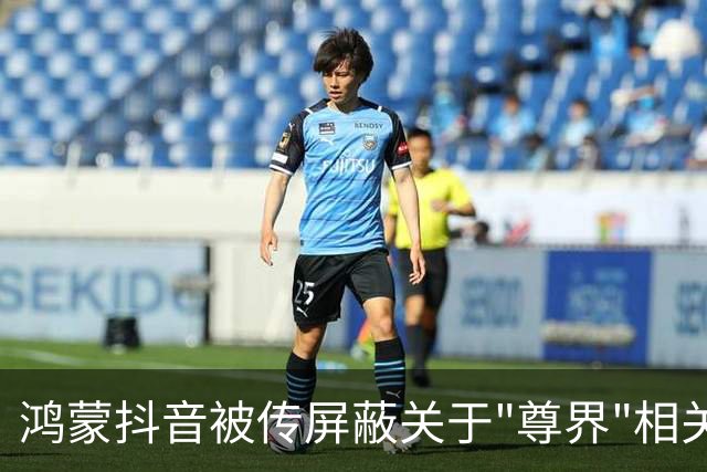 鸿蒙抖音被传屏蔽关于"尊界"相关报道？手机实测后真相曝光，不止人民日报，其他媒体也一样